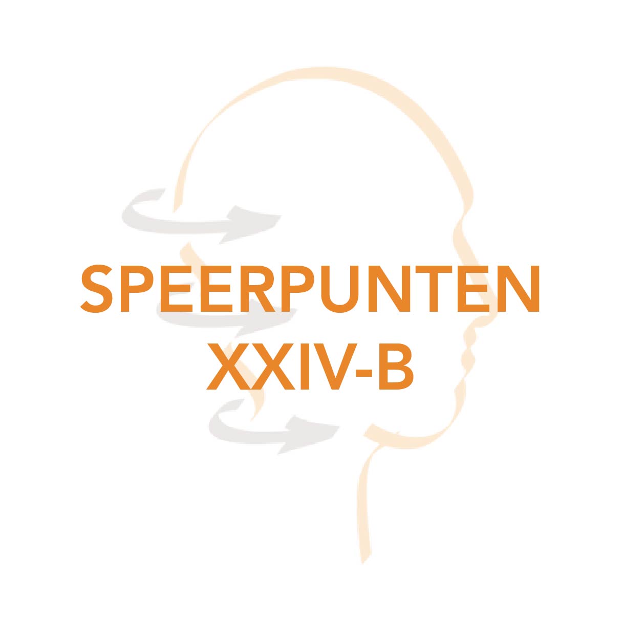 Speerpunt_XXIVB